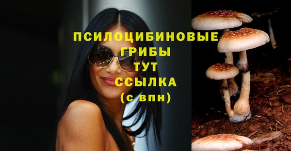 синтетический гашиш Гусь-Хрустальный