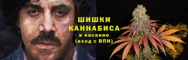 мдпв Горняк