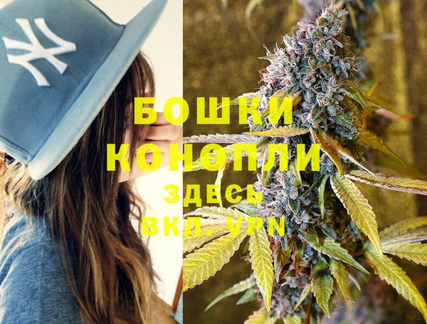 мдпв Горняк